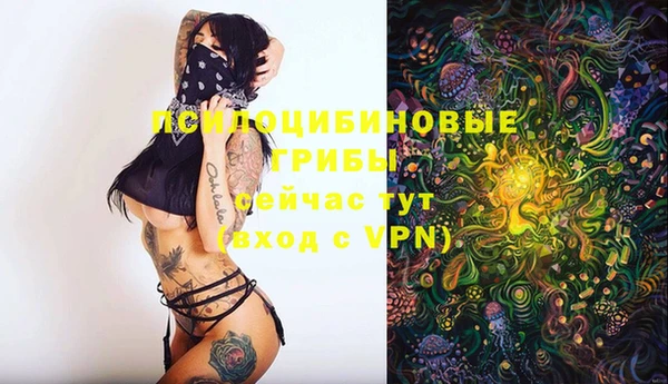 дмт Володарск