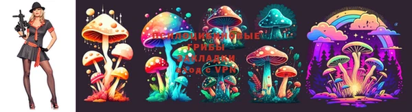 дмт Володарск