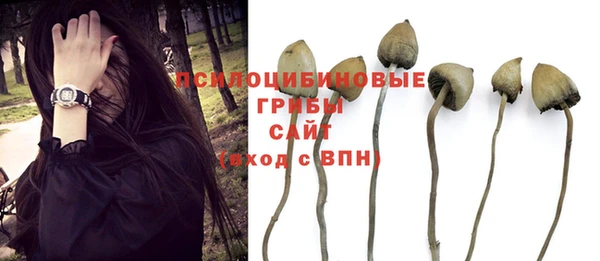 мескалин Михайлов