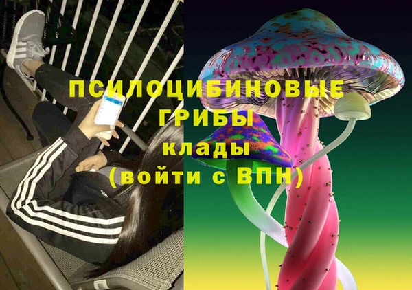 дмт Володарск