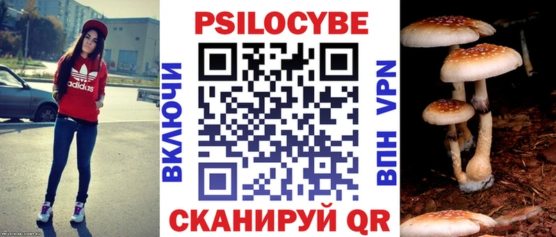 Галлюциногенные грибы ЛСД  где купить наркоту  даркнет клад  Озёрск  kraken ТОР 